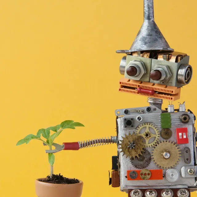 Robot pielęgnujący młodą sadzonkę — wdrożenia, które rosną razem z firmą